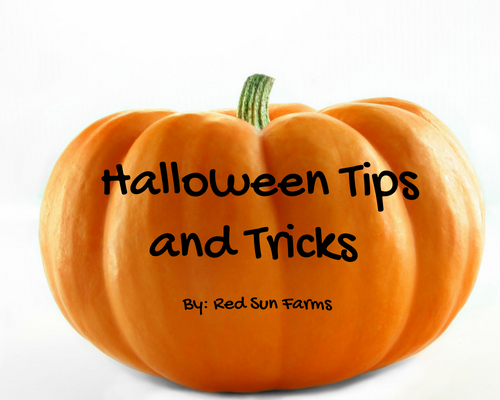 Halloween Tricks and Treats